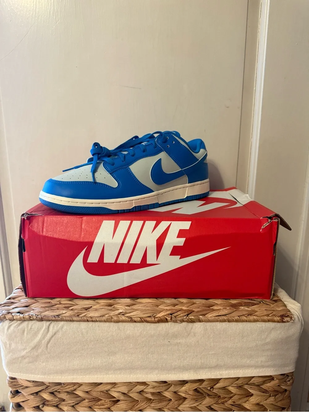 Nike Men’s Dunk Low Retro